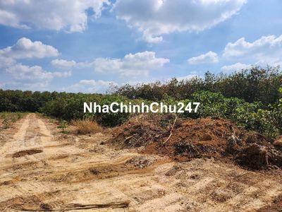 Đất CHÍNH CHỦ 300m2 THỔ CƯ