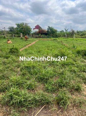 Bán nền khu dân cư Đông Phú , châu thành Hậu Giang , giá 780 Triệu