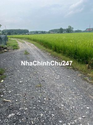 CẦN BÁN ĐẤT LÚA - CHÍNH CHỦ CẦN BÁN