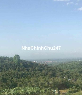 Bán Nhanh Trong Tuần Lô Đất View Panorama Bảo Lộc 800Tr