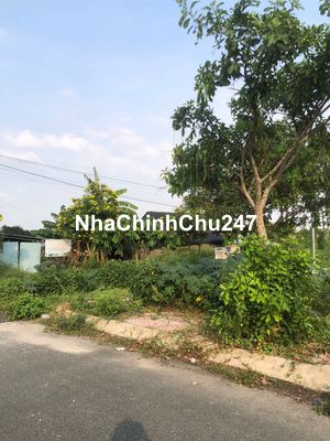 chính chủ cần bán gấp lô đất tân thông hội củ chi 990tr